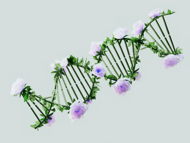 How DNA Made This is a beautiful image of DNA
